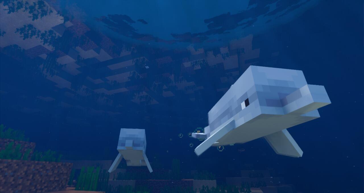Dolphin