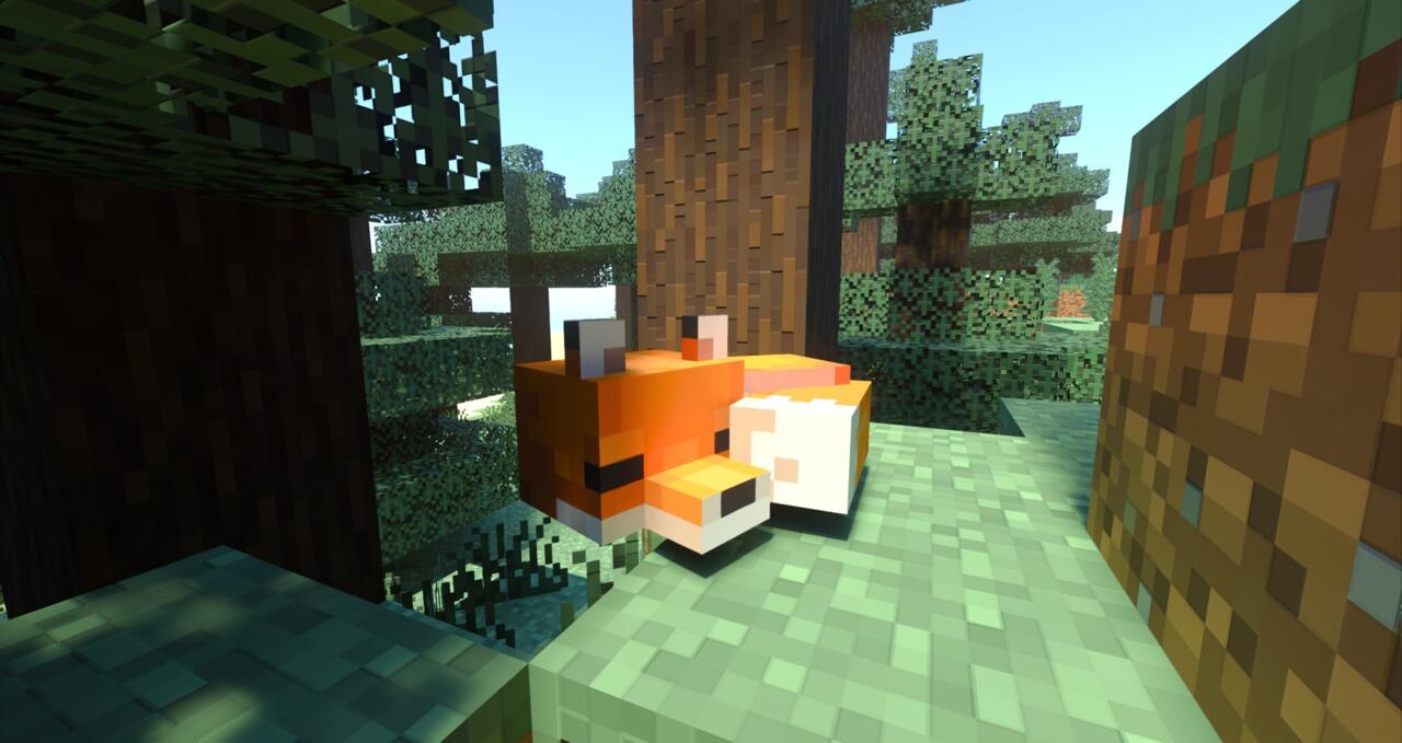 Fox