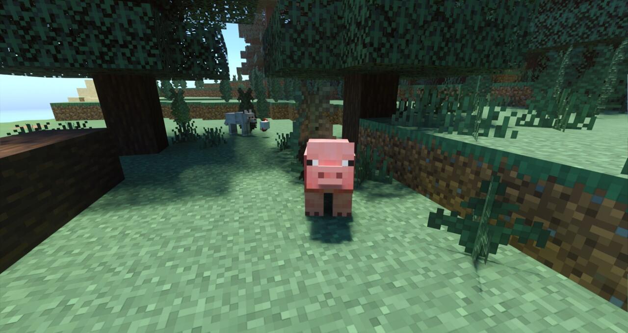 Pig