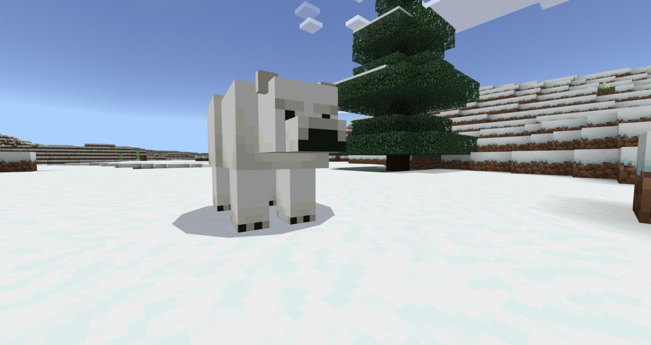 Polar Bear
