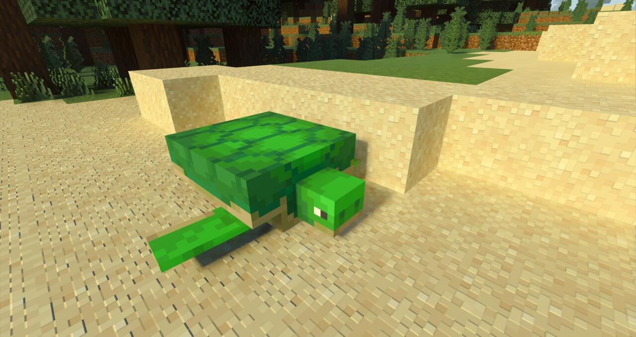 Sea Turtles