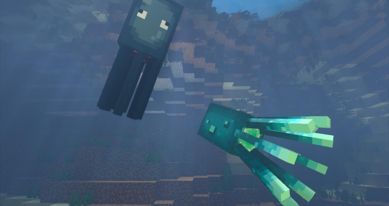 Squids