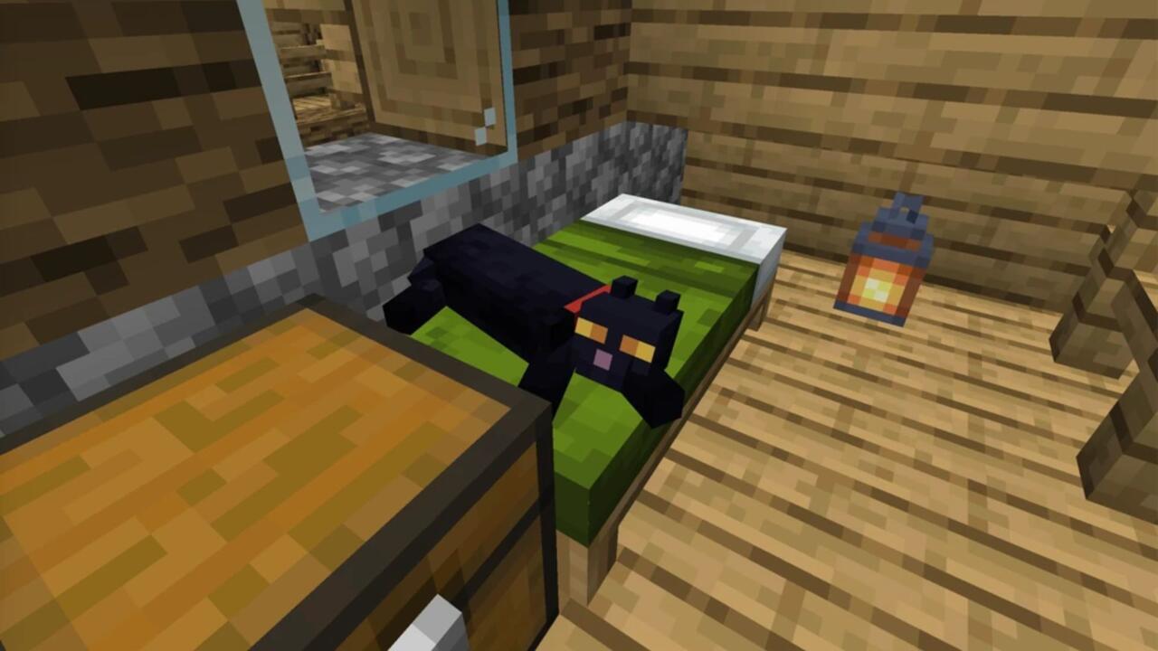  A black cat lying on a bed
