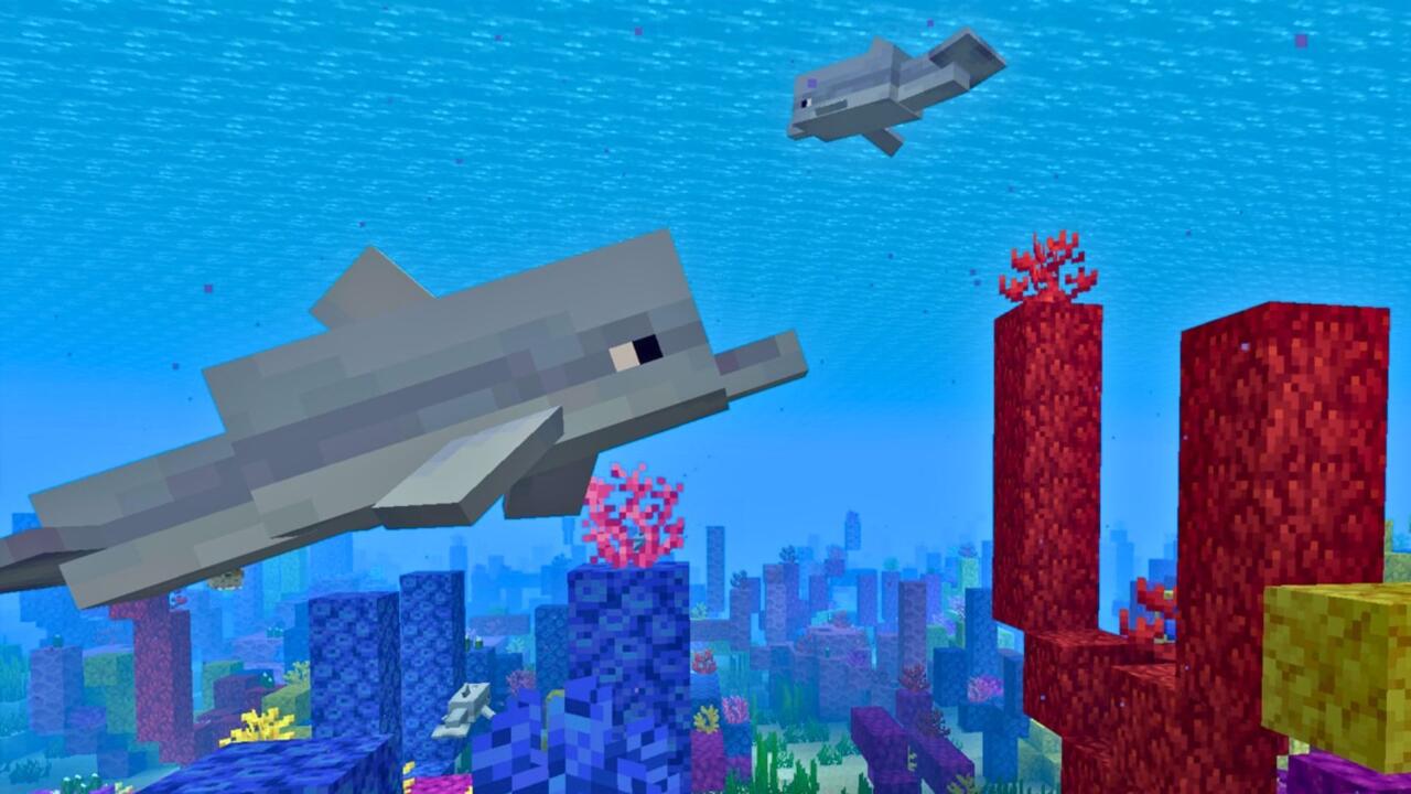 Minecraft dolphins can lead you to treasure
