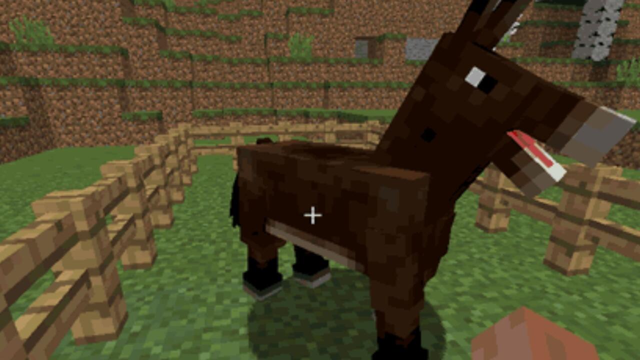 A mule is created by breeding a horse with a donkey
