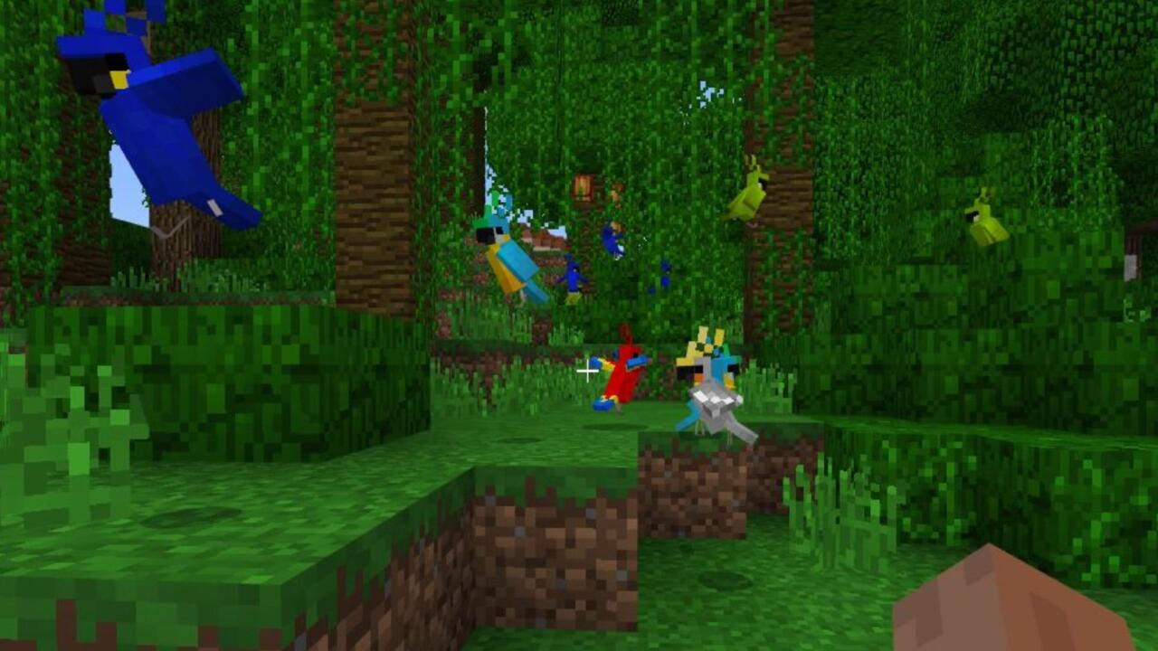 Many parrots in the jungle
