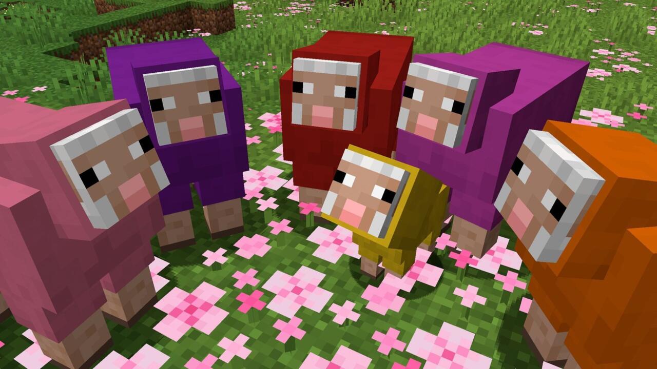Multicolored sheep