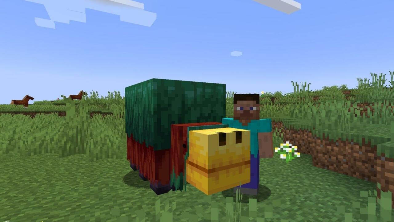Steve and a Sniffer