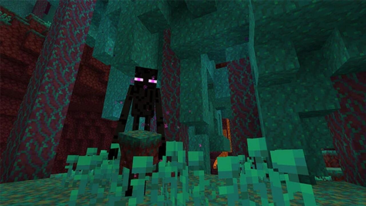 An Enderman holding Warped Nylium in the Nether
