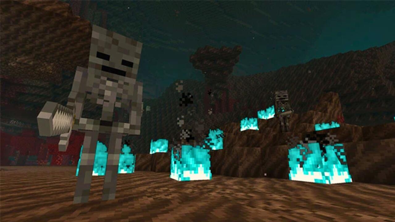 Wither Skeletons in the Nether